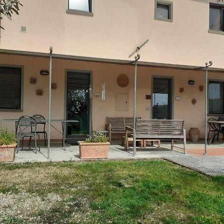 Agriturismo Podere Zollaio Vinci Exteriér fotografie