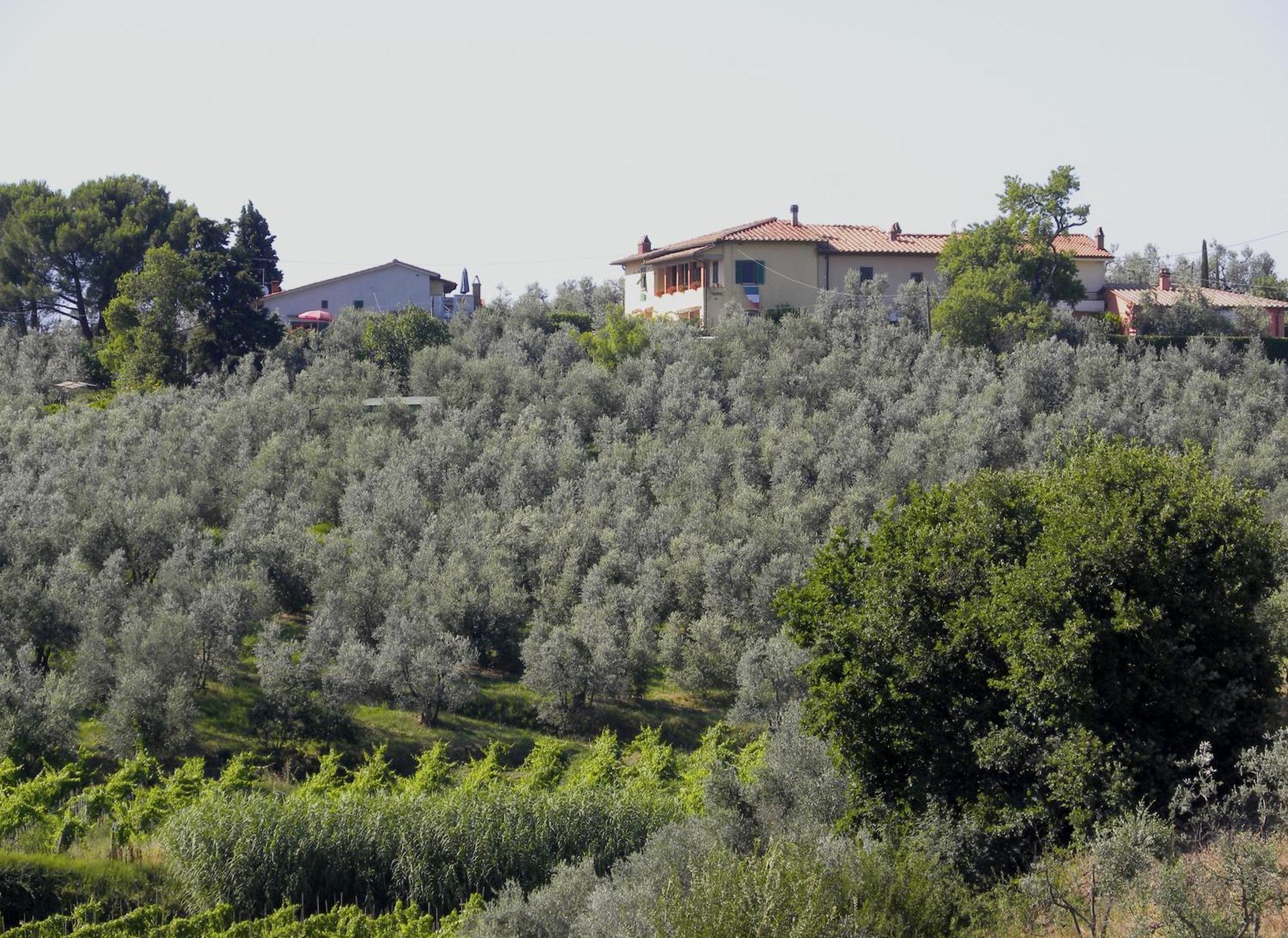 Agriturismo Podere Zollaio Vinci Pokoj fotografie