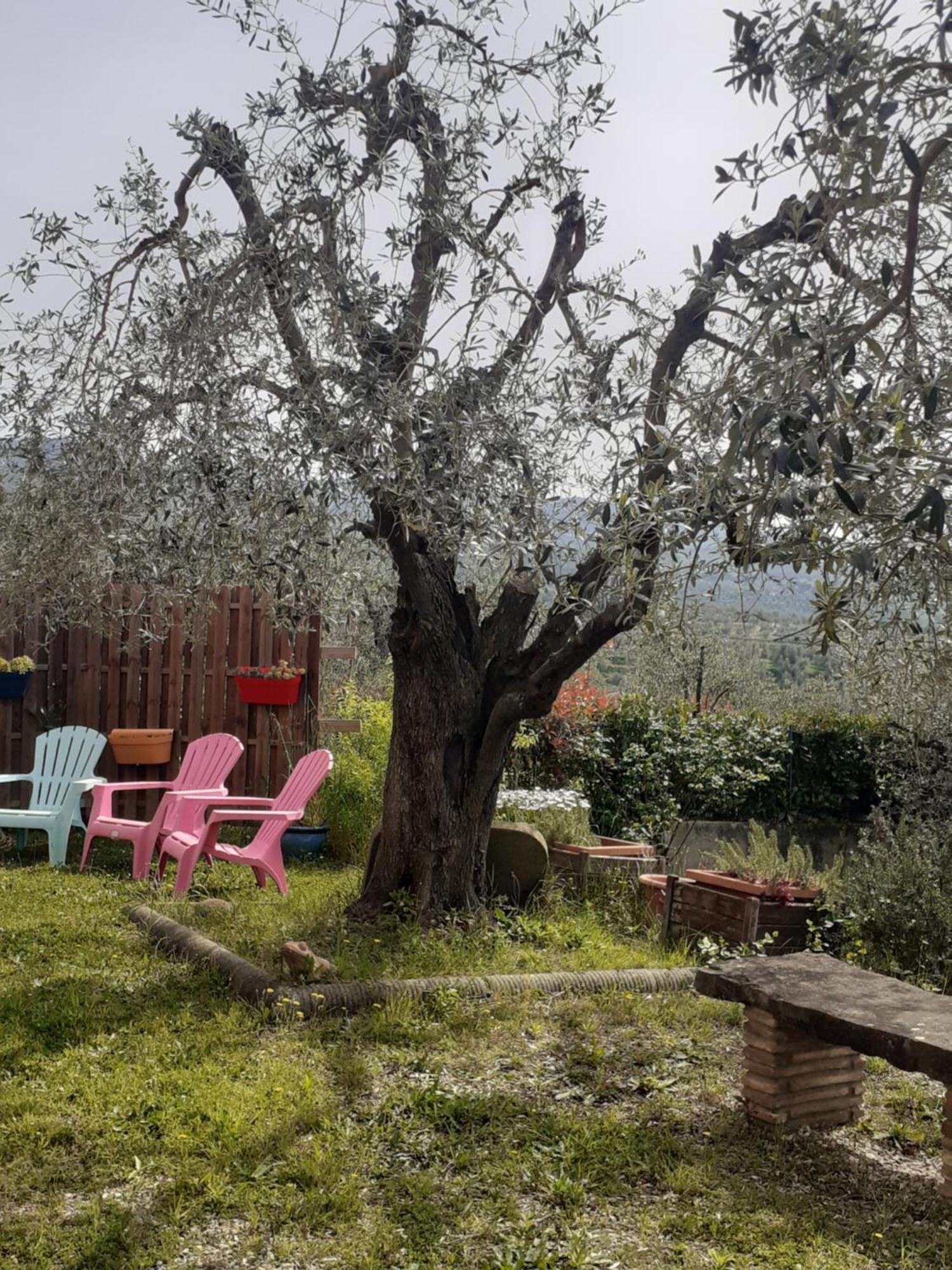 Agriturismo Podere Zollaio Vinci Exteriér fotografie